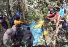कुराड़ गांव में तार में फंसा भालू, रातभर करता रहा निकलने की कोशिश; वन विभाग ने सुरक्षित निकाला